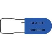 Scellés de sécurité UniPad S, 1-1/2", Métal/Plastique, Cadenas PG266 | Vision Industrielle