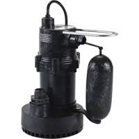 Pompe de puisard de série 5.5, 35 gal./min, 115 V, 3,5 A, 1/4 CV UAK135 | Vision Industrielle