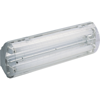 Lampes Vapor-Tight série BS100 Illumina<sup>MD</sup>, Polycarbonate, 120 V XC441 | Vision Industrielle