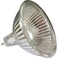 Ampoule de rechange MR16 XI504 | Vision Industrielle