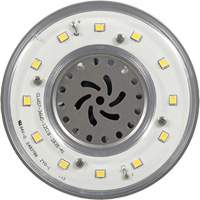 Lampe haute luminosité Ultra LED<sup>MC</sup>, DHI, 36 W, 4800 lumens, base Mogul XI556 | Vision Industrielle