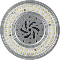 Lampe haute luminosité Ultra LED<sup>MC</sup>, DHI, 80 W, 10800 lumens, base Mogul XI562 | Vision Industrielle